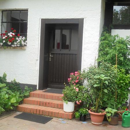 Ferienwohnung Bergfeld Lalendorf Eksteriør bilde